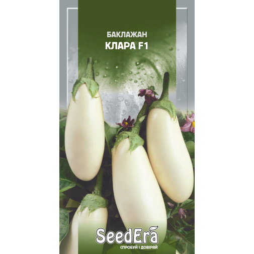 Баклажан Клара