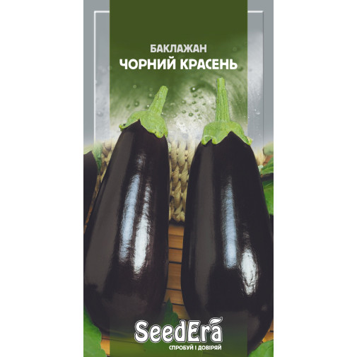 Баклажан Чорний Красень
